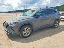 5NMJB3DE9RH386971 2024 HYUNDAI TUCSON