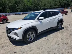 5NMJB3DE9RH387831 2024 HYUNDAI TUCSON