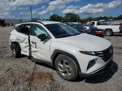 5NMJB3DE9RH390969 2024 HYUNDAI TUCSON