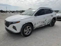 5NMJB3DE9RH393306 2024 HYUNDAI TUCSON