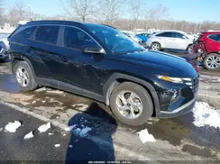 5NMJB3DE9RH396609 2024 HYUNDAI TUCSON