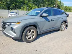5NMJB3DE9RH410198 2024 HYUNDAI TUCSON