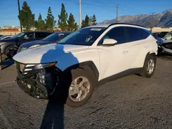 5NMJB3DE9RH411979 2024 HYUNDAI TUCSON