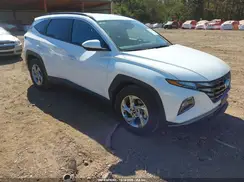 5NMJB3DE9RH427986 2024 HYUNDAI TUCSON