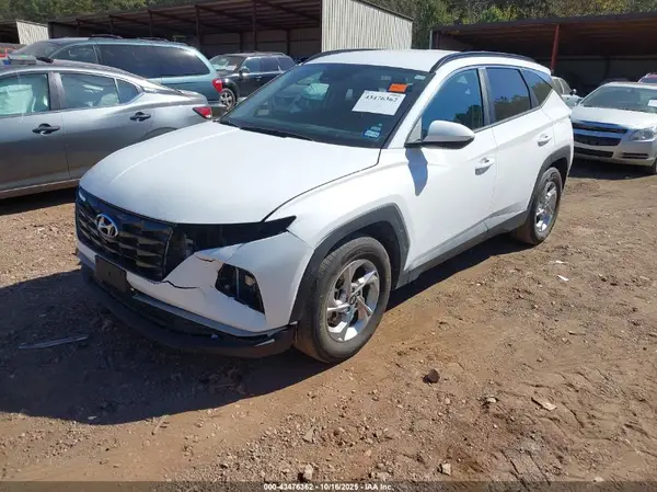 5NMJB3DE9RH427986 2024 HYUNDAI TUCSON - Image 2