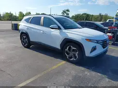5NMJB3DE9RH428541 2024 HYUNDAI TUCSON