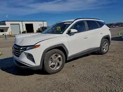 5NMJB3DEXRH316377 2024 HYUNDAI TUCSON