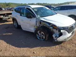 5NMJB3DEXRH330957 2024 HYUNDAI TUCSON