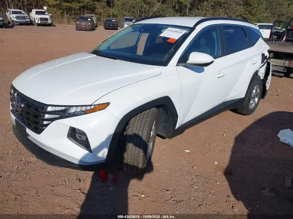 5NMJB3DEXRH330957 2024 HYUNDAI TUCSON - Image 2