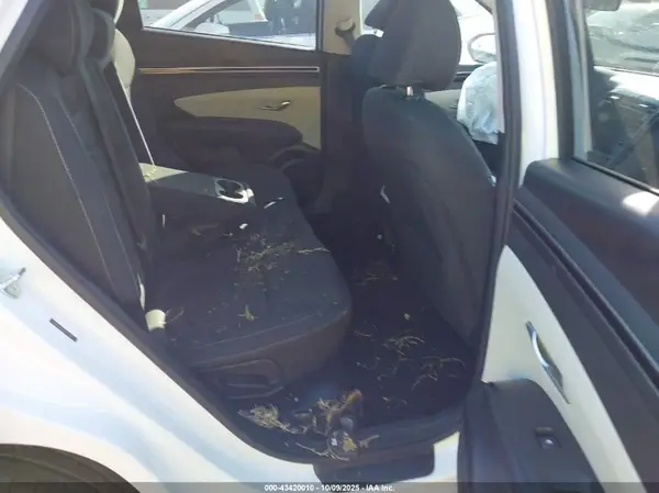 5NMJB3DEXRH330957 2024 HYUNDAI TUCSON - Image 8