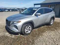 5NMJB3DEXRH343482 2024 HYUNDAI TUCSON