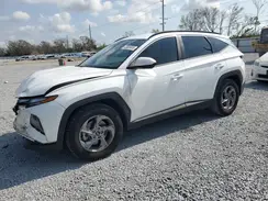 5NMJB3DEXRH366003 2024 HYUNDAI TUCSON