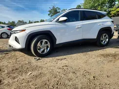 5NMJB3DEXRH384274 2024 HYUNDAI TUCSON