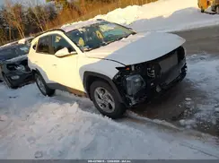 5NMJBCAE0PH211557 2023 HYUNDAI TUCSON
