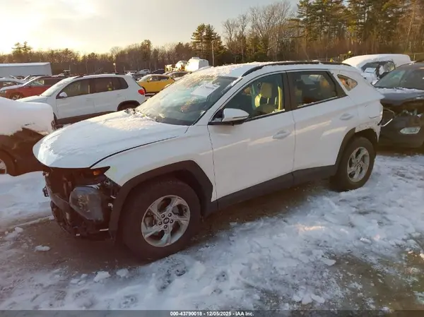 5NMJBCAE0PH211557 2023 HYUNDAI TUCSON - Image 2