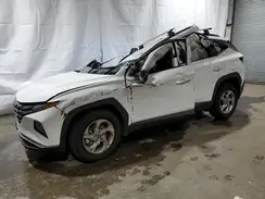 5NMJBCAE0PH228004 2023 HYUNDAI TUCSON