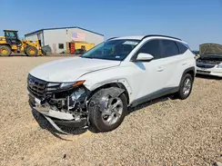 5NMJBCAE0PH237057 2023 HYUNDAI TUCSON