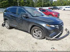 5NMJBCAE0PH244428 2023 HYUNDAI TUCSON