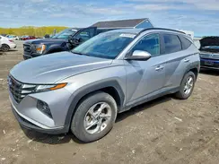5NMJBCAE0PH261343 2023 HYUNDAI TUCSON