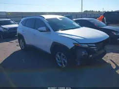 5NMJBCAE1PH176236 2023 HYUNDAI TUCSON