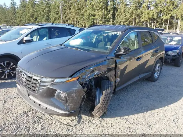 5NMJBCAE1PH182375 2023 HYUNDAI TUCSON - Image 2