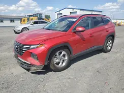5NMJBCAE1PH189665 2023 HYUNDAI TUCSON