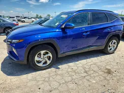 5NMJBCAE1PH207680 2023 HYUNDAI TUCSON