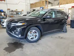 5NMJBCAE1PH290396 2023 HYUNDAI TUCSON