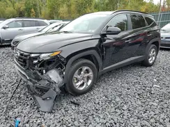 5NMJBCAE2PH161406 2023 HYUNDAI TUCSON