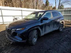 5NMJBCAE3PH172740 2023 HYUNDAI TUCSON