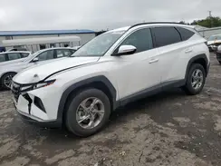 5NMJBCAE3PH182443 2023 HYUNDAI TUCSON