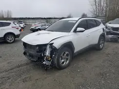 5NMJBCAE3PH188369 2023 HYUNDAI TUCSON
