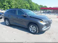 5NMJBCAE3PH196567 2023 HYUNDAI TUCSON