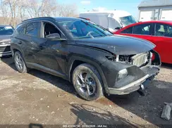 5NMJBCAE3PH203131 2023 HYUNDAI TUCSON