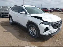 5NMJBCAE3PH237019 2023 HYUNDAI TUCSON