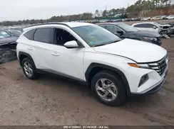 5NMJBCAE4PH181219 2023 HYUNDAI TUCSON