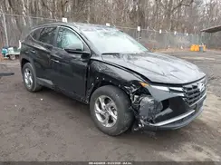 5NMJBCAE4PH185089 2023 HYUNDAI TUCSON