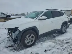 5NMJBCAE4PH217555 2023 HYUNDAI TUCSON