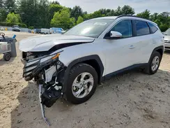 5NMJBCAE4PH230502 2023 HYUNDAI TUCSON