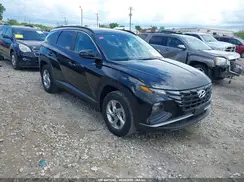 5NMJBCAE5PH191919 2023 HYUNDAI TUCSON