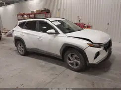 5NMJBCAE5PH215880 2023 HYUNDAI TUCSON