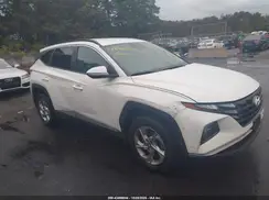 5NMJBCAE5PH228760 2023 HYUNDAI TUCSON