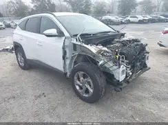 5NMJBCAE5PH259099 2023 HYUNDAI TUCSON