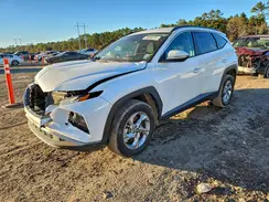 5NMJBCAE5PH281667 2023 HYUNDAI TUCSON