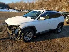 5NMJBCAE6PH182453 2023 HYUNDAI TUCSON