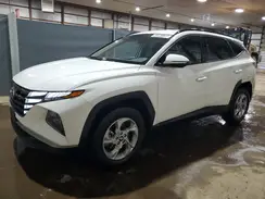 5NMJBCAE6PH205195 2023 HYUNDAI TUCSON