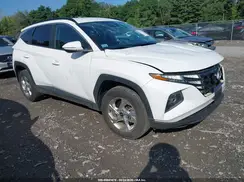 5NMJBCAE6PH245938 2023 HYUNDAI TUCSON