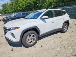 5NMJBCAE6PH260259 2023 HYUNDAI TUCSON