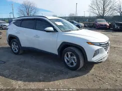 5NMJBCAE7PH250470 2023 HYUNDAI TUCSON