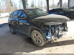 5NMJBCAE7PH270900 2023 HYUNDAI TUCSON